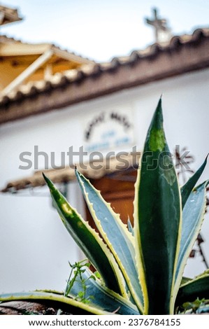 Cactus Plant with a White Traditional Chapel Entrance and a Cross on Rooftop in Background in Parga City, Greece.
