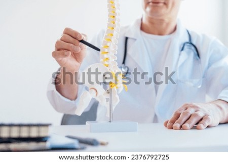 Closeup no face medical male doctor pointing on human spine model with a pen sitting in his office. Spinal healthcare and back pain treatment concept. Selective focus, copy space Royalty-Free Stock Photo #2376792725