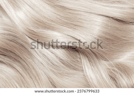 Blond hair close-up as a background. Women's long blonde hair. Beautifully styled wavy shiny curls. Hair coloring. Hairdressing procedures, extension. White hair Royalty-Free Stock Photo #2376799633