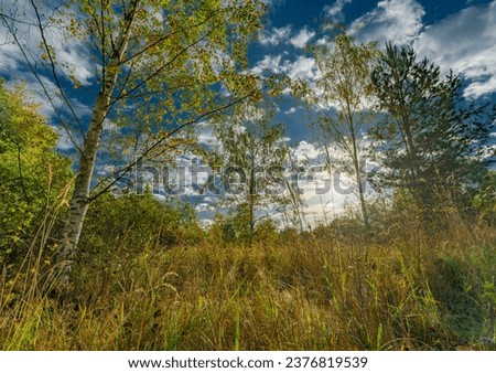 View near Vrbenske ponds with color autumn trees and wet meadows
