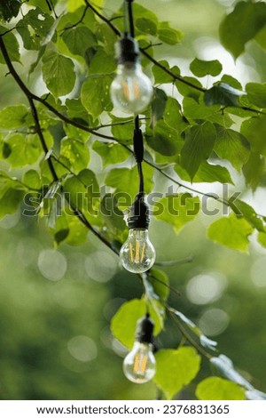 Light bulb on a green blurry background. The light bulb symbolizes the a new idea. Cool wallpaper, background picture.