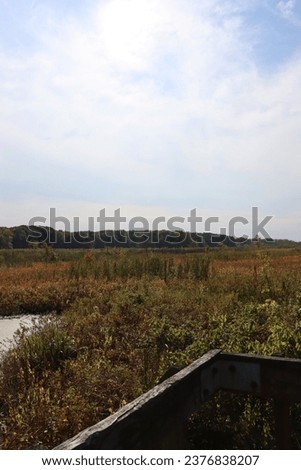 wooden pier looking out over fall autumn swamp marshland with white and blue sky vertical picture