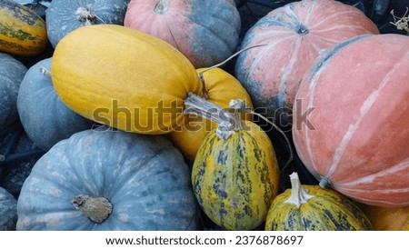 Background with colorful homemade pumpkins. High quality stock photo.