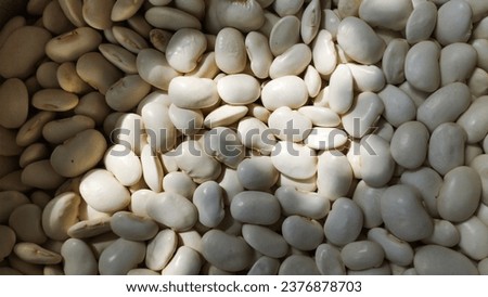 White Beans with a ray of light. Dish of Georgian cuisine. High quality stock photo.