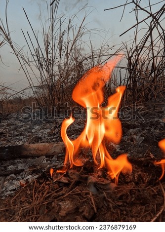 flares during a land fire in a mining area during the dry season in September