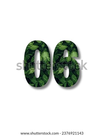 Design number 06 with leaf texture on white background.