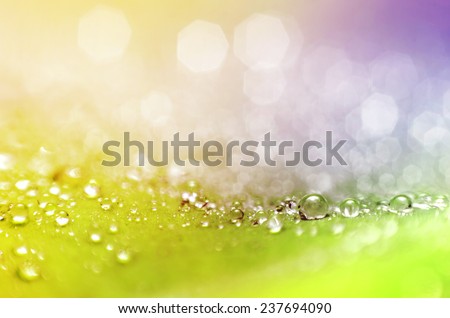 abstract light bokeh colorful background 