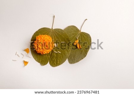 Dussehra or Dashahara greeting card background photo. Aapte leaves and marigold flower on white backdrop shot from above. Vijayadashami festival template with empty space for text. Royalty-Free Stock Photo #2376967481