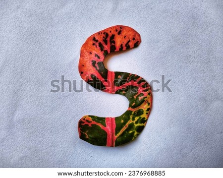 The letter S logo is made of red, yellow and green leaves on a white paper background
