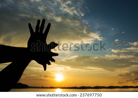 hand shaped bird fly on the sun sky morning