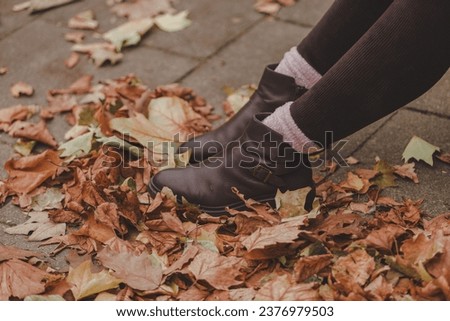 Beautiful woman sitting in autumn park in autumn beige and brown colors, close up on legs 
