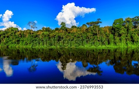 Paloemeu or Palumeu is an Amerindian village in the interior of Suriname,  Royalty-Free Stock Photo #2376993553