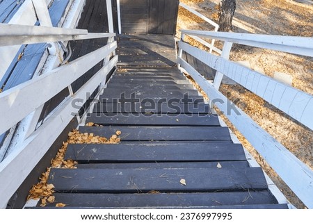 Wooden stairs in the park with fallen leaves in autumn season.