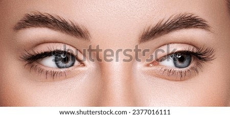 Beautiful female eyes with long eyelashes. Eyelash extensions. Makeup, cosmetics, beauty. Close up, macro Royalty-Free Stock Photo #2377016111