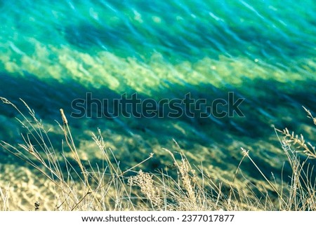 Lake, blue transparent water, grass. Autumn.