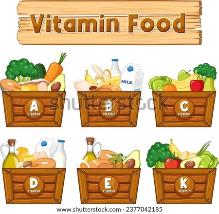 Illustration showcasing vitamins and their food sources