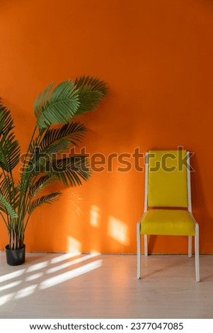 yellow chair home flower in a pot on an orange background in the room interior