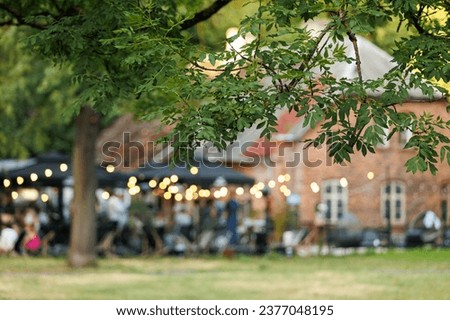 Background activities with focus on the tree in the foreground. You can feel that a party or some other social event is taking place, the sharpness of the picture is on the foreground bush, tree. 