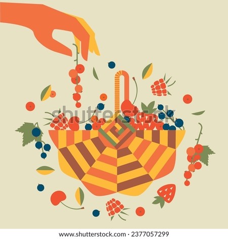 a basket full of berries, cherries, strawberries, raspberries, currants. Vector illustration