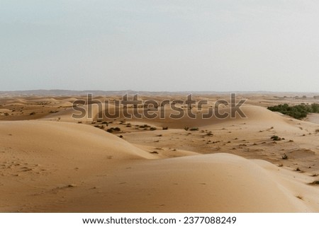Desert mauritania Sand dunes horizon Royalty-Free Stock Photo #2377088249
