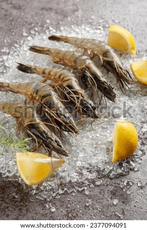 Raw ocean black tiger prawns unpeeled with lemon, herbs closeup on the ice on a dark background. Vertical
