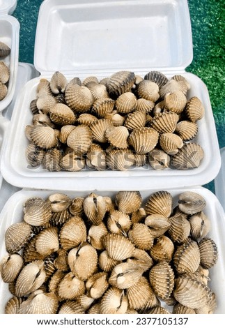 fresh clams are available at the market.
