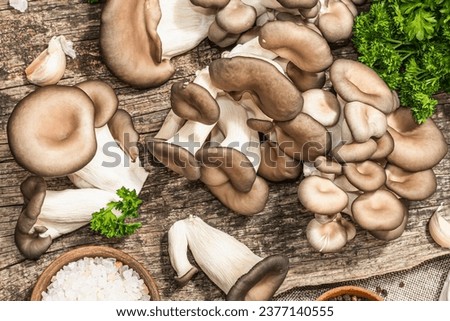 Oyster mushrooms ready for cooking. Fresh parsley, spices and garlic. Trendy hard light, dark shadows, old wooden background, top view