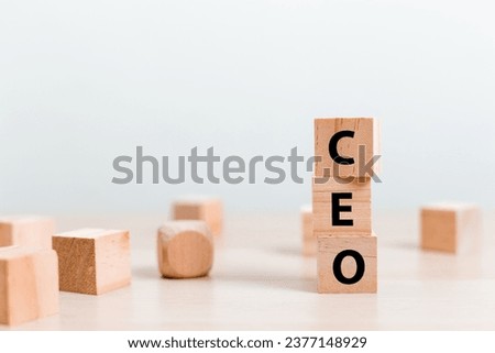 Alphabet text word CEO on wooden block cube. Chief Executive Officer.
