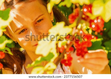 Vitamins, healthy food concept. Close up portrait of young girl  harvests red currants berries on a green background of bushes. Horizontal image.