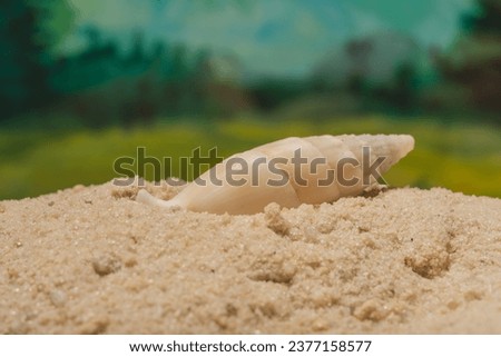 Fine sand on the seashore is an abstract background. Use for creative work in design. Photography overlays- clip art