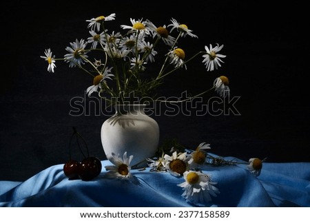 Draped background. Still life of flowers - summer blooming chamomile Royalty-Free Stock Photo #2377158589