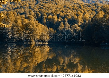 Bolu, Turkey - October 16 2023: Autumn forest landscape reflection on the water in Yedigoller National Park which means seven lakes