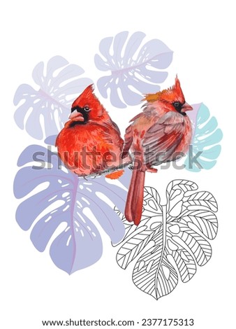 Red birds and tropical monstera plants. Can be used as a postcard, cover background, or for a web message. Vector illustration in a watercolor style. 
