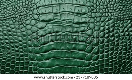 Crocodile skin texture. Background pattern crocodile alligator skin. Reptile skin closeup Royalty-Free Stock Photo #2377189835