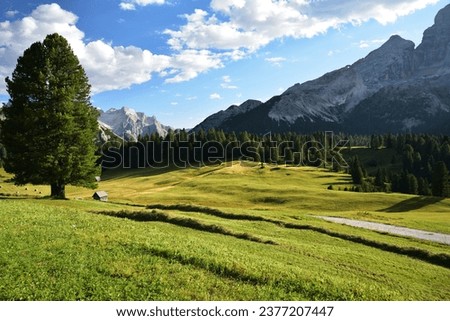 The Prato Piazza plateau, 2000 meters high, with the Croda Rossa on the right with the characteristic rock conformation called the Eye of God Royalty-Free Stock Photo #2377207447