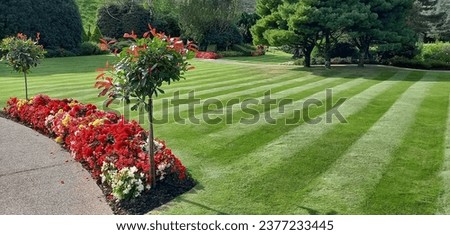 Lawn cut in stripes with flowerbeds Royalty-Free Stock Photo #2377233445