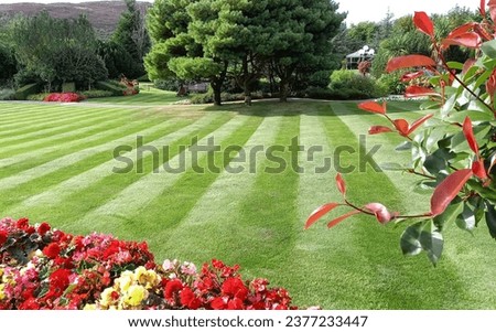 Lawn cut in stripes with flowerbeds Royalty-Free Stock Photo #2377233447