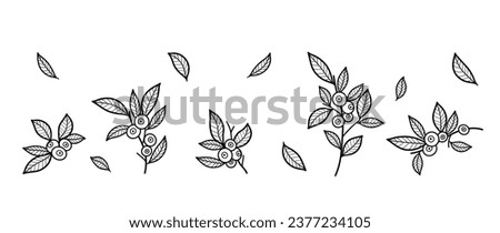 Set of blueberry branches with berries and leaves in graphic style. Hand drawn wedding grass, elegant leaves for invitation, decor, print. Botanical vector, hand drawn trendy greenery.	