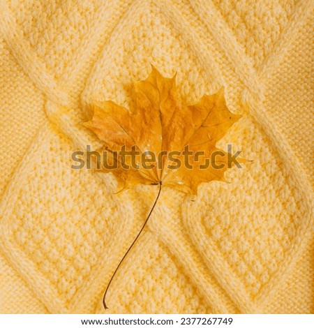 Knitted pattern of a yellow sweater with a maple yellow dry leaf in the middle.