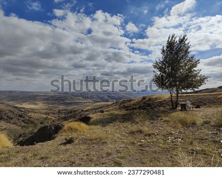 A steppe landscape in Ankara, Turkey. In the background there are tall skyscrapers and cityscape far away. A single tree in front and a seat under it.