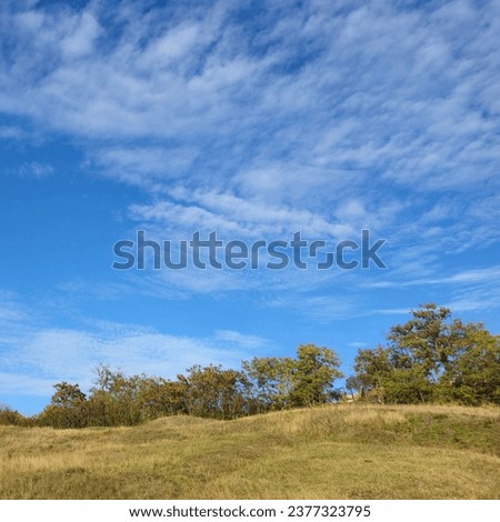 A grassy hill with trees and blue sky