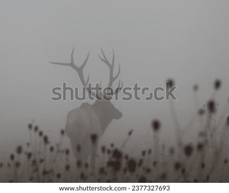 Majestic Elk Bull Fall Rut  Royalty-Free Stock Photo #2377327693