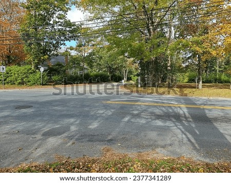 An empty street on an autumn day with fallen leaves along it.