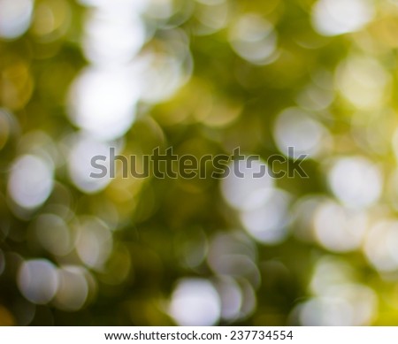 Bright green and white blur bokeh abstract light spring forest background
