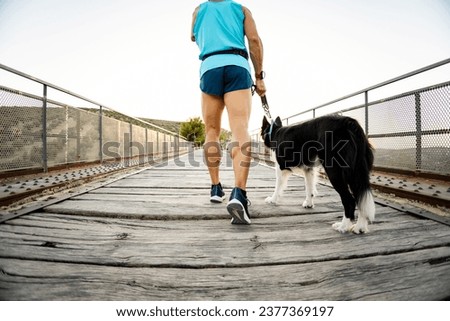 Back-to-back photo of an unrecognizable athlete with an amputated arm walking with his dog using a harness on an outdoor bridge. The dog is a border collie breed. Canicross concept.