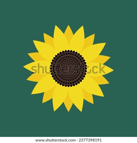 Sunflower icon on green background top view. Vector illustration.