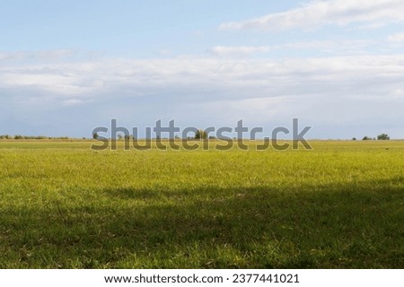 Autumn steppe landscape, mown grass on a meadow, trees, shadows on the grass, cloudy sky before rain, nature reserve in the Volga-Akhtuba floodplain, Russia