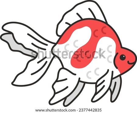 Vector illustration of ryukin goldfish. Isolated on white background.