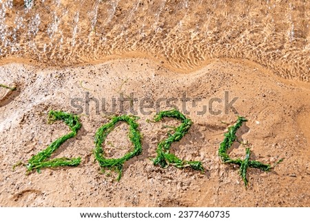 2024 Happy new year image with the numbers 2024 in seaweed on a sandy beach. Eco picture with good copy space.