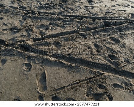 Picture of footprints on the sandy beach.
